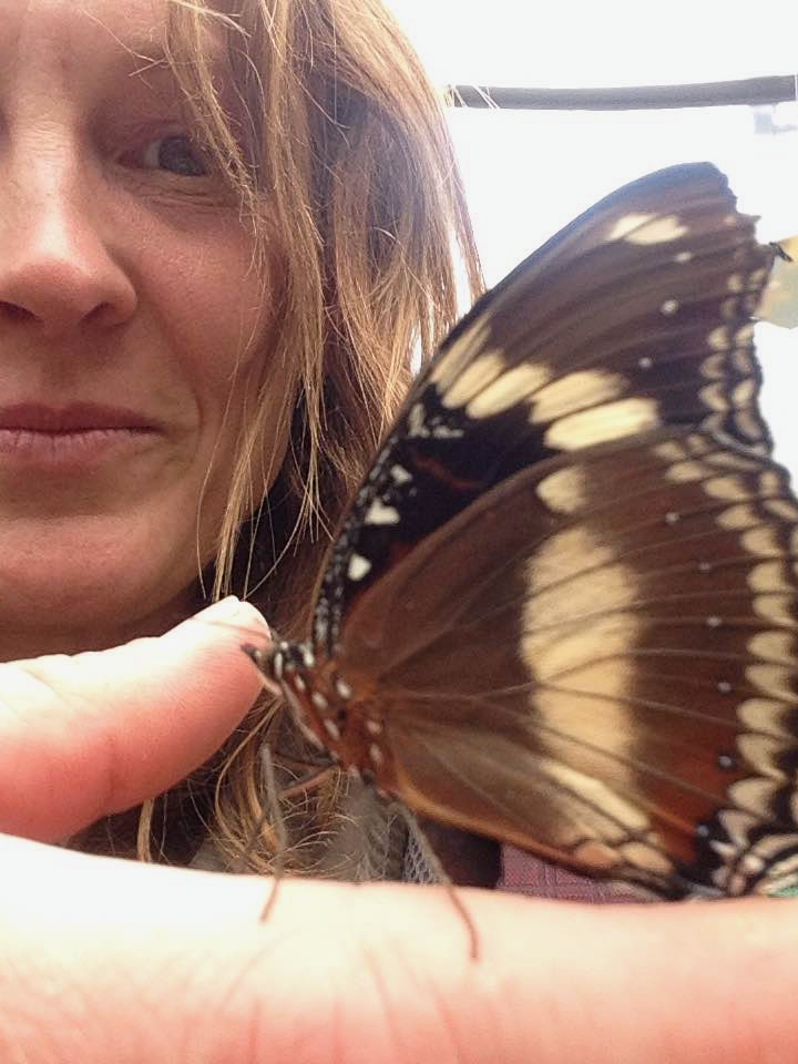 A butterly resting on my hand